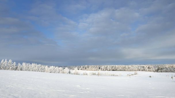 Zimní pohled z kopce pokryté lesní - Fotografie, Obrázek