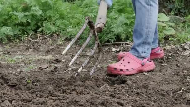  donna scavare giardino da forcone. vicino
 - Filmati, video