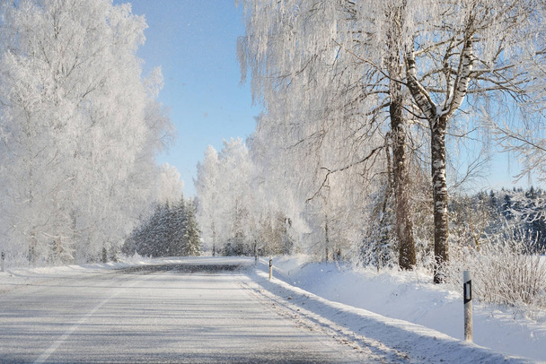 Pays des merveilles hivernales route forestière enneigée
 - Photo, image