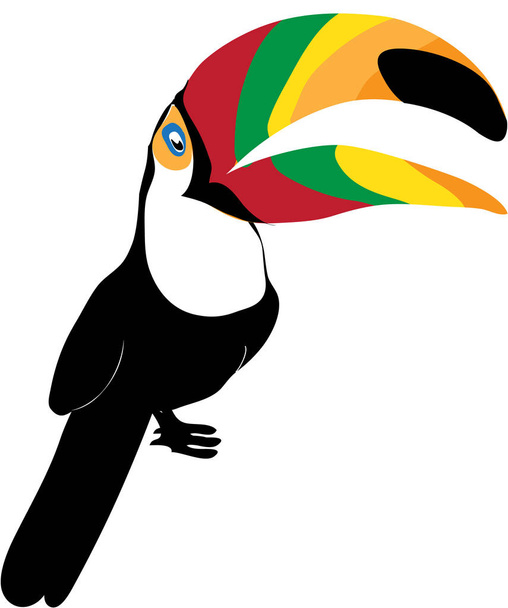 Διάνυσμα toucan πουλί με πολύχρωμα ράμφος - Διάνυσμα, εικόνα