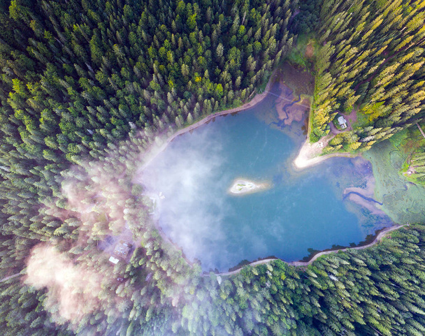 Αεροφωτογραφία της λίμνης Synevir στα Καρπάθια Όρη στην Ουκρανία - Φωτογραφία, εικόνα