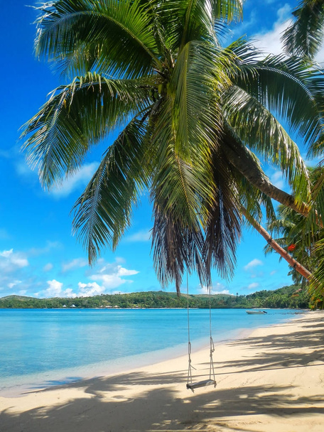 Columpio de cuerda en la playa en la isla de Nananu-i-Ra, Fiji
 - Foto, imagen