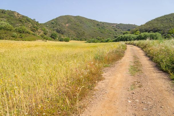 Strada in Ajezur con montagna, vegetazione e piantagione di grano
 - Foto, immagini