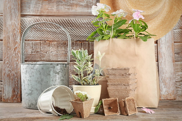 plants and watering can  - Foto, Imagem