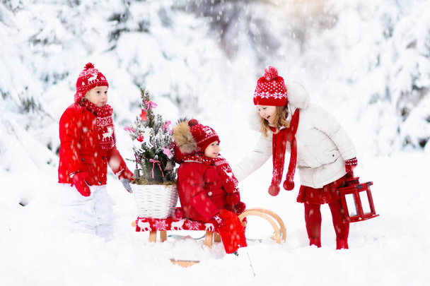 クリスマス ツリーと子どもたち。子供のための雪の冬の楽しみ. - 写真・画像