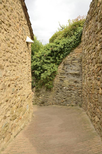 Stone alley in Monells - Photo, Image