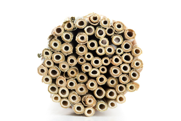Círculos de tallos de trigo
 - Foto, imagen