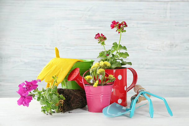 plants and gardening tools - Fotografie, Obrázek