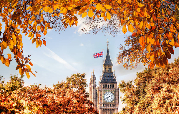 Big Ben zegar przed jesienią liści w Londyn, Anglia, Wielka Brytania - Zdjęcie, obraz