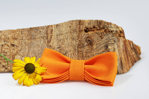Komposition: Extravagante orangefarbene Fliege, gelbe Blume und Schnittholz auf weißem Hintergrund - Foto, Bild