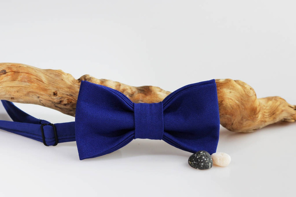 Склад: Екстравагантна блакитна краватка зі скрученою дерев'яною гілкою та морською галькою на білому тлі
. - Фото, зображення
