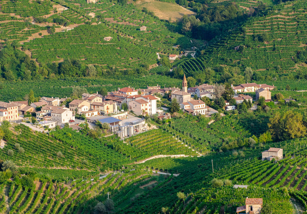 Wijngaarden Cartizze en Prosecco - Foto, afbeelding