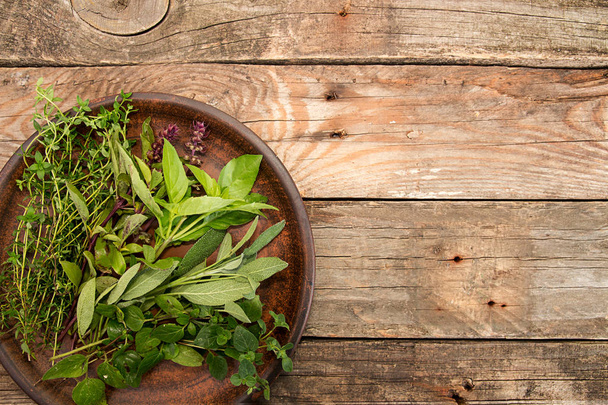 Тимьян; орегано; шалфей, базиликовые травы на брун посуда над на старый
  - Фото, изображение