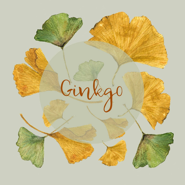 Botanical watercolor illustration of colorful ginkgo leaves on green background with text - Photo, Image
