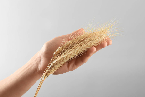 Woman's hand touching wheat on grey background - Photo, Image
