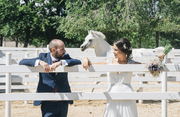  Newly married wedding couple stand with beautiful horse on natu - Foto, afbeelding