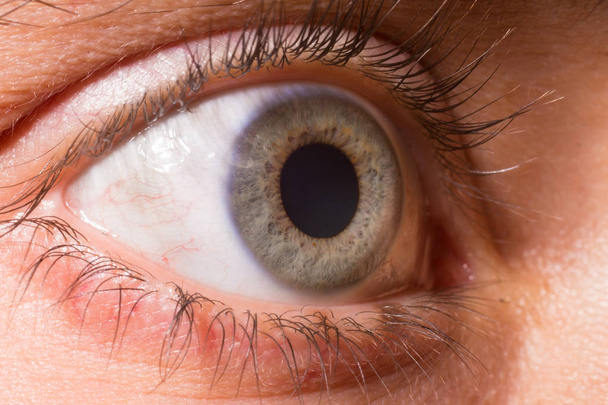 Close-up on a blue eyes. Iris  - Фото, изображение