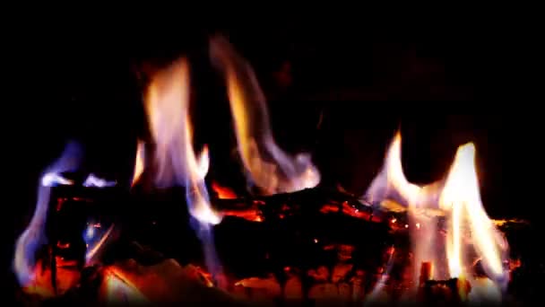 A szép napló tűz égett egy kandalló - Felvétel, videó