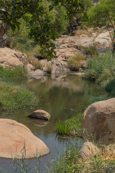 fluent river with rocks and vegetation in Africa. Lubango. Angol - Фото, изображение