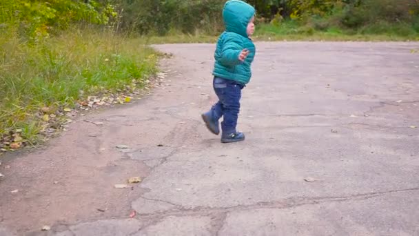 Jeden chłopiec ucha uruchamia w jesienny park i uśmiecha się. Przegub - Materiał filmowy, wideo