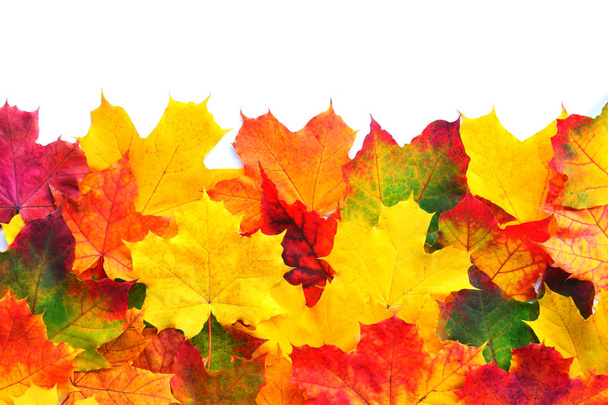 őszi levelek határ - Fotó, kép