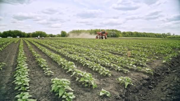 landwirtschaftliche Sprühgerät auf landwirtschaftlichem Feld zur Bewässerung von Pflanzen. Landmaschinen - Filmmaterial, Video