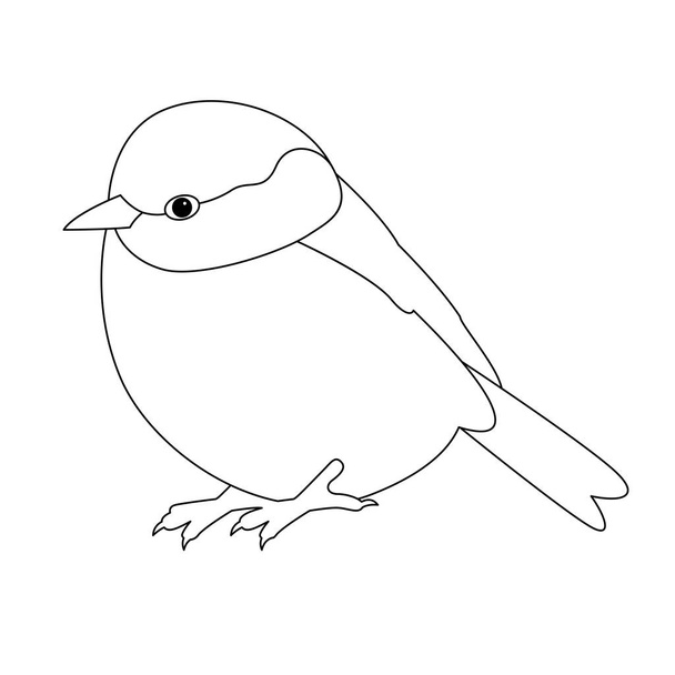  bird tit vector illustration line drawing  coloring book - Vecteur, image