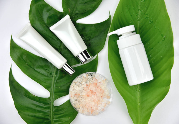 Pojemniki na butelki kosmetyczne z zielonymi liśćmi ziołowymi, Blank label for branding mock-up, Natural beauty product concept. - Zdjęcie, obraz