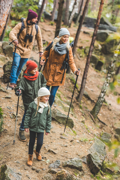 family walking in autumn forest - Фото, зображення