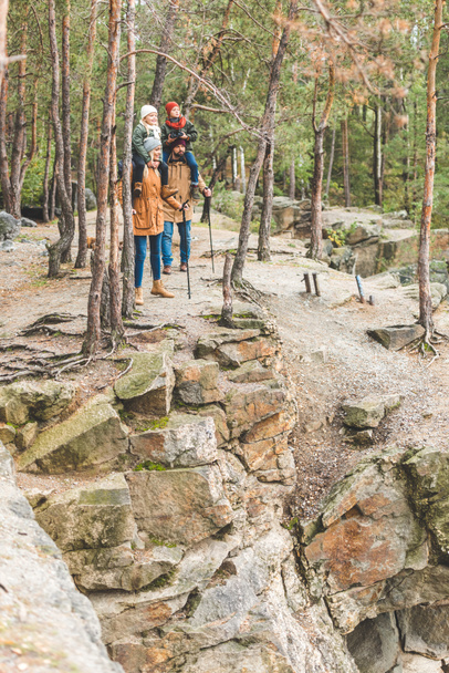 ormandaki kayada aile ayakta - Fotoğraf, Görsel