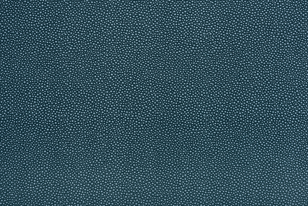 Texture cuir gris
 - Photo, image