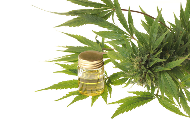 olie cannabis en hennep - Foto, afbeelding