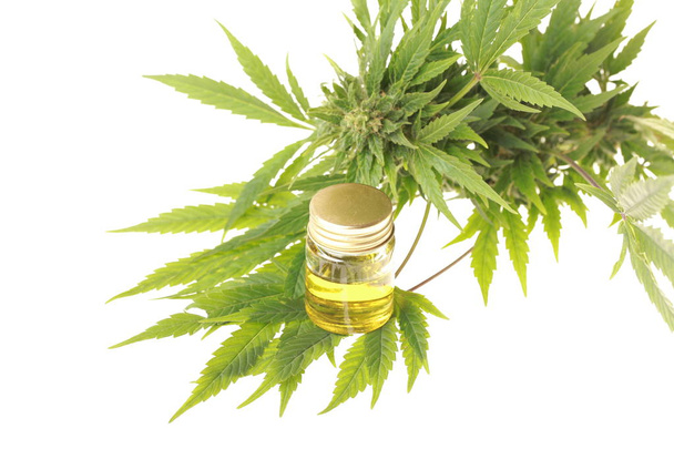 medicinale cannabis en hennep - Foto, afbeelding