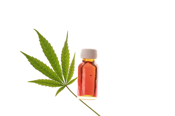 cannabis and hemp oil - Photo, Image