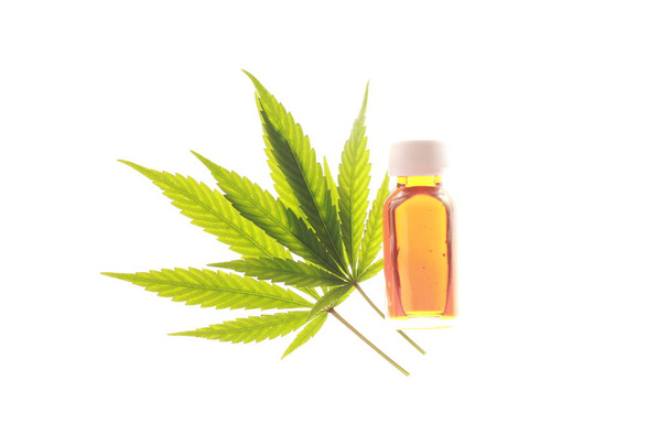 cannabis et huile de chanvre
 - Photo, image