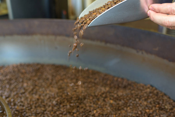checking coffee beans during roasting process at the factory - Foto, afbeelding