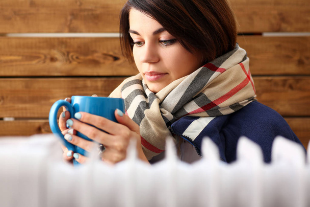 Όμορφη γυναίκα συλλογισμένος τυλιγμένο σε ζεστό κασκόλ και σακάκι αγκαλιά κούπα ζεστό τσάι, προσπαθώντας να ζεσταθεί πορτρέτο. Εγχώρια κατανάλωση εξοικονόμηση λειτουργία και την ενεργειακή οικονομία lifestyle, έννοια subambient σπίτι - Φωτογραφία, εικόνα