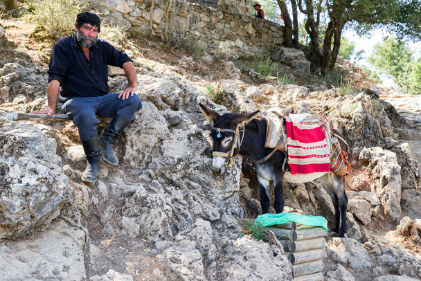 Donkey and his shepherd - Photo, Image