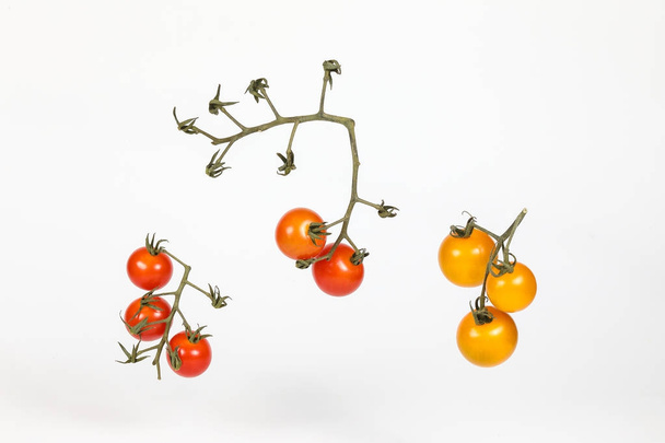 Fresh Colourful Tomat - Foto, imagen