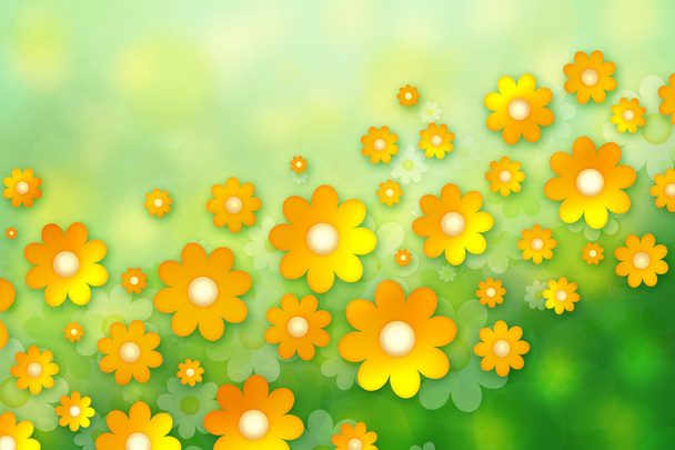 Spring background with chamomiles - Foto, Imagen
