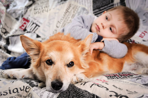 uma criança e seu melhor amigo, seu cão
 - Foto, Imagem