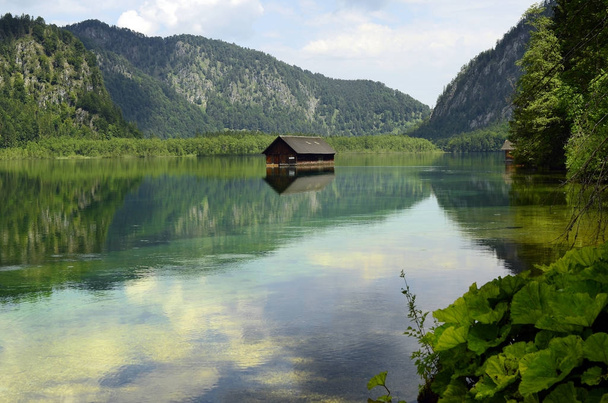 Itävalta, Almtal, Luonto
 - Valokuva, kuva