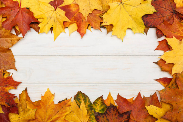 カラフルな秋のカエデの葉が白い木製の背景に横たわっています。 - 写真・画像