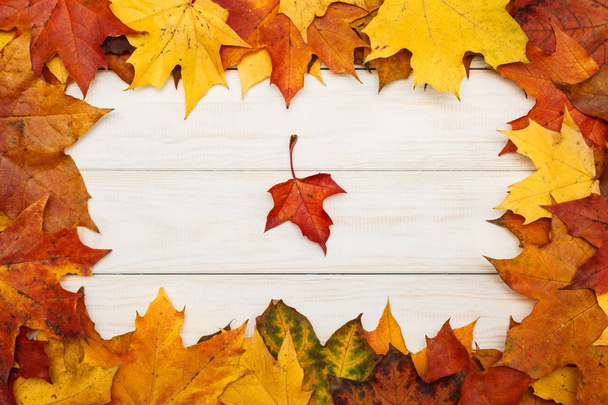 Group of autumn maple leaves on white wooden background - Φωτογραφία, εικόνα
