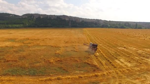 Комбинат собирает пшеницу, вдалеке горы и тюки сена
 - Кадры, видео