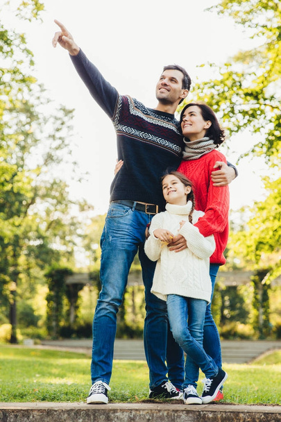 3 人家族の垂直縦くっつき合って、受け入れる、秋の公園の散歩がある、リスを木の上に注意してください。優しい父、母と娘は、良い関係を持っています。 - 写真・画像