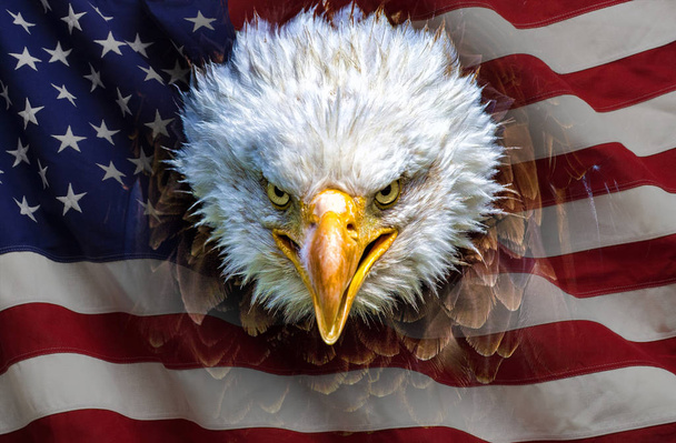 Ένας θυμωμένος Βόρειας Αμερικής φαλακρός αετός στην αμερικανική σημαία - Φωτογραφία, εικόνα