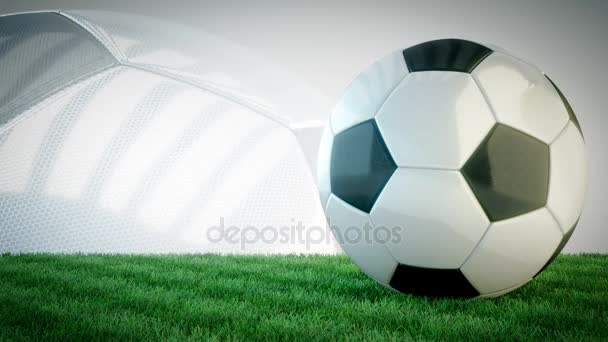 Περιστρεφόμενη μπάλα γυαλιστερό ποδοσφαίρου χόρτο πεδίο - αδιάλειπτη βρόχο - Πλάνα, βίντεο