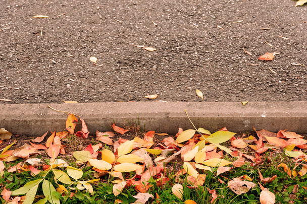 Autumn leaves lie in the background asphalt background for the label - Photo, Image