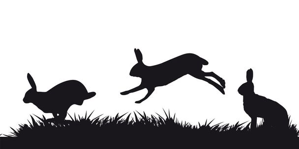 Hares hopping on grass - black and white silhouette - Vector, Image